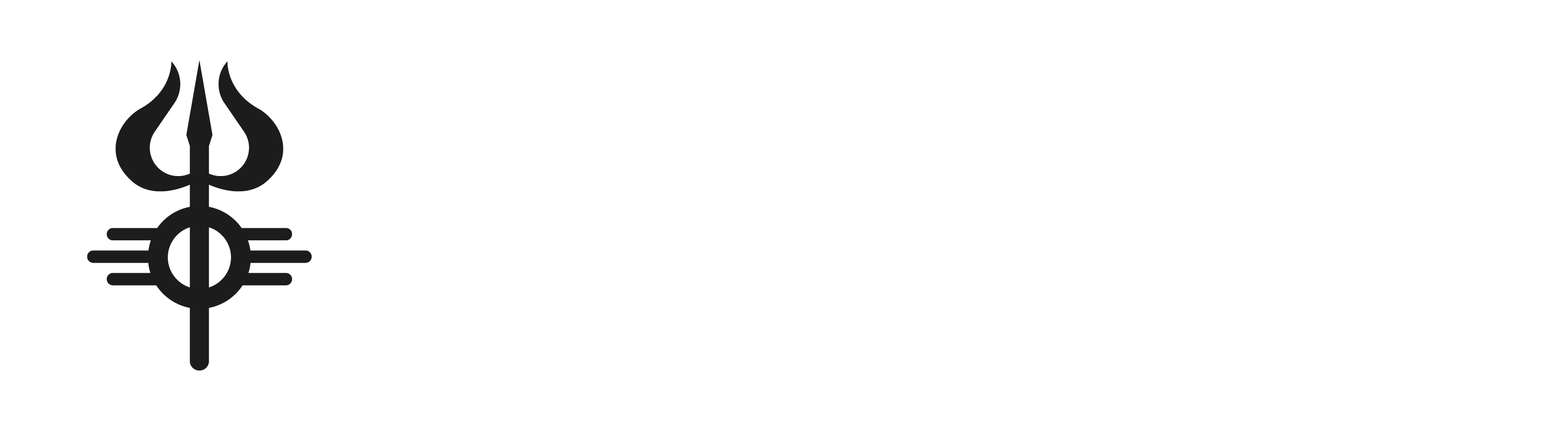 sadashivblowers-logo